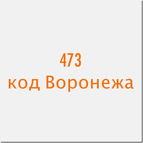 473 Воронеж